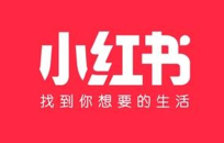 利用小红书如何宣传和推广公司-北京网站制作