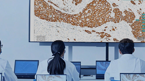 夜猫网络签约山东WIN医学科技公司2026官网升级开发